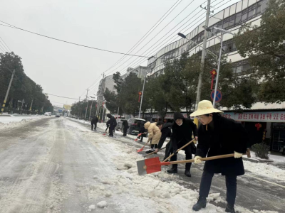 东沟镇全员上阵“浴雪”奋战