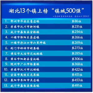 全国排名86位！葛店镇继续蝉联湖北第一强镇！