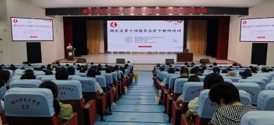 湖北省第十四期中小学书法骨干教师培训在我市举行