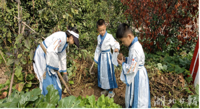 临江乡王埠小学：国学课开在田间地头