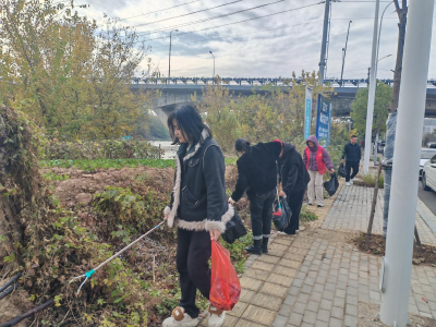 志愿服务 有你有我 | 樊口街道财政所志愿者参加“洁港行动”