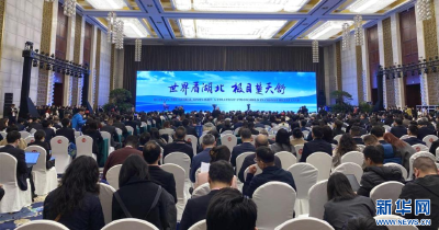 樱花为媒 世界500强“链”动湖北新机遇