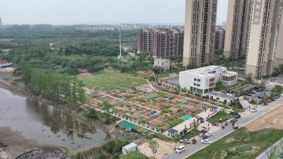 共享菜园绘就新“丰”景