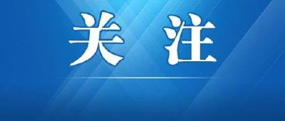 潮涌楚天千帆竞