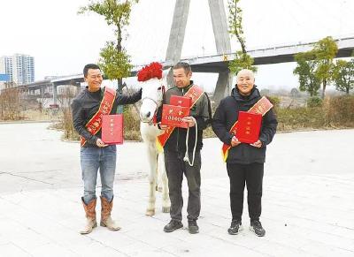 东湖评论：白马当选“湖北好人”，是对动物伙伴道德价值的深情褒奖