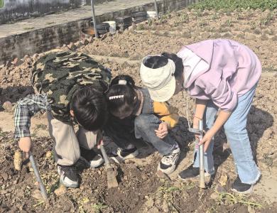 166个假日托管班托起“多彩童年”
