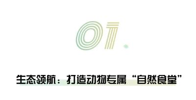5000余只动物来了吃啥？鄂州准备好了… 