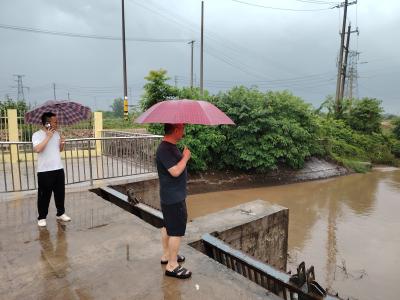 暴雨来袭！樊口街道在行动