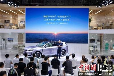 连续三个月销量破万 岚图汽车展现强劲发展势能 