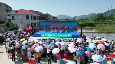 以樟为媒兴文旅  古韵樟香绽新颜