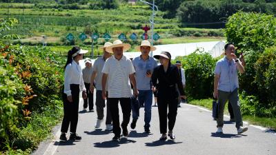 湖北省湿地保护基金会到鄂州调研湿地宣传教育进社区工作