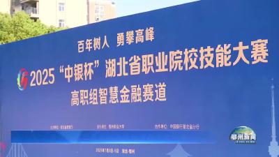 省职业院校技能大赛高职组智慧金融赛道比赛在我市开赛