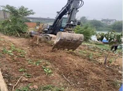 长堤村经济合作社：旧塘焕新颜  家园展新姿