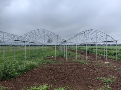 月河村蔬菜大棚项目推进顺利