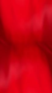 “花湖精神”演讲比赛决赛精彩展播（三）