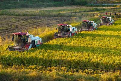 从“零散田”到“聚宝盆”——襄城探索适度规模经营新路径