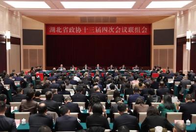 王忠林参加省政协十三届四次会议联组讨论 聚智聚力 同心同行 为确保支点建设取得决定性进展而团结奋斗 孙伟主持 