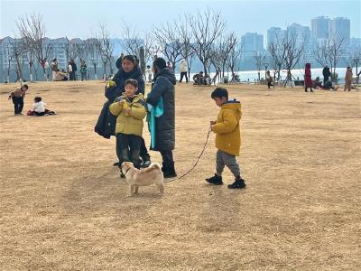 文明旅游 | 文明新风“吹”暖假日