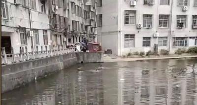 “过客”成“家人” 暖“新”更暖心 月畔湾社区构建“骑手友好”共生新生态 