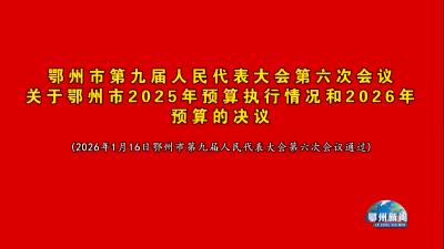预算执行情况的决议