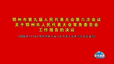 人民代表大会常务委员会工作报告的决议