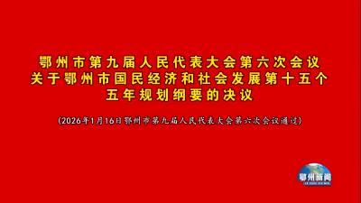 第十五个五年规划纲要的决议