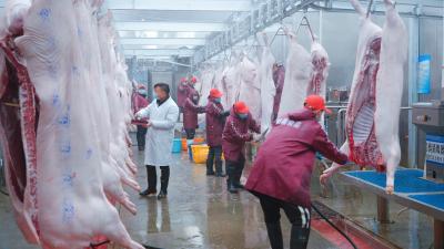 扫码溯源见真章  鄂州守护市民“肉案子”平安过年