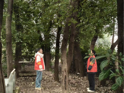 梁子镇在行动：爱鸟护鸟守生态 森林防火保平安