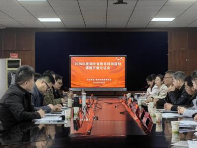 华容区华容小学《五育融合视域下农村小学美术实践活动行动策略研究》课题正式开题