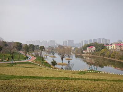 洋澜湖东南岸新公园亮相   环湖绿道形成完美“闭环”