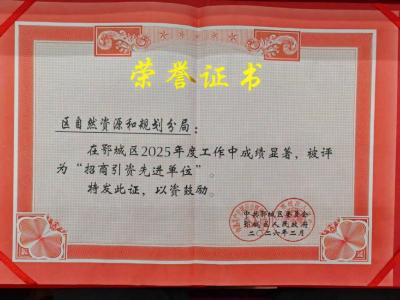 喜获殊荣 实干争先  鄂州市自然资源和规划局鄂城分局荣获多项区级表彰