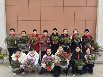 华容镇周汤小学：师生携手开展“春满校园，绿满周汤”主题绿化美化活动