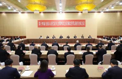 十四届全国人大四次会议湖北代表团举行第一次全体会议 推选王忠林为代表团团长 李殿勋等为副团长 