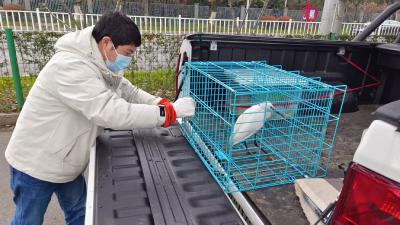 市东佛林场（市野生动植物保护站）：学思践悟强担当 实干笃行守初心