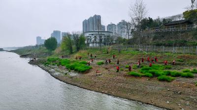 守护水源地 共绘水网画卷——鄂州市水务集团开展节水护水主题志愿活动