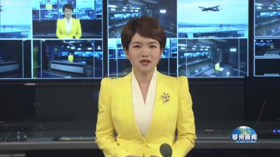 临空经济区“春风行动”暨就业援助季招聘会举行