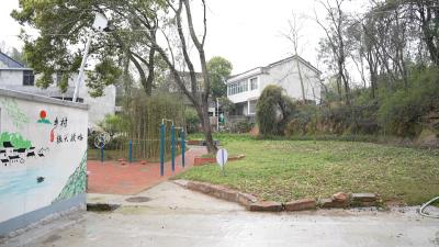 文塘村：人居环境“细梳妆”  绿美乡村入画来