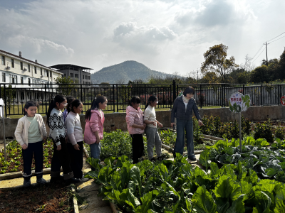 智慧蔬果园里采摘忙 劳动教育课中收获甜——沼山镇李铁铺学校开展蔬菜采摘劳动实践活动 