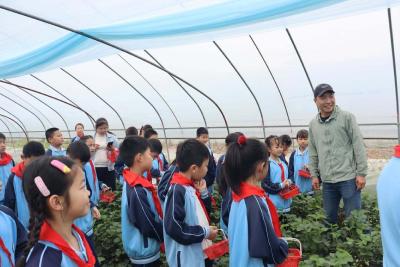 邂逅春日“莓”好 实践赋能成长——葛店实验小学开展户外实践活动