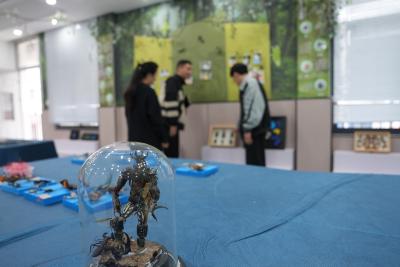 鄂州市明塘小学有间“丛林笔记”工作室