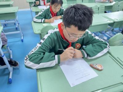 葛店经开区姚湖小学开展全民国家安全教育日主题教育活动