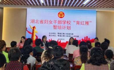 赋能巾帼成长 夯实技能根基｜湖北省“育红雁”智培计划首场活动在鄂城区樊口街道举行