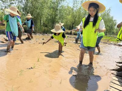 踏春而行 趣享农耕——凤凰街道南塔小学三（1）班学子踏上春日研学之旅