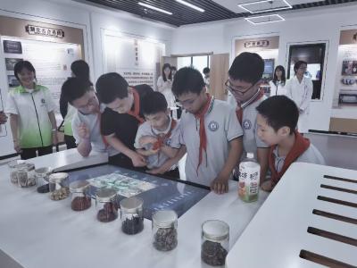 葛店经开区岳陂小学：知行合一筑成长 长职研学解锁急救与中医药文化
