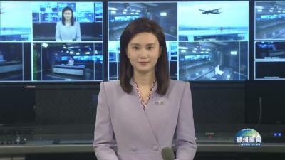 孙兵会见湖北莲花山人工智能研究院院长吴志强一行