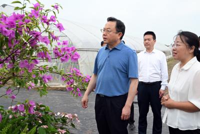 孙兵调研林长制工作时强调 推深做实林长制 守好生态“责任田” 为鄂州高质量发展筑牢绿色屏障