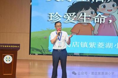 筑牢防溺安全防线 护航少年生命成长——葛店经开区紫菱湖小学开展防溺水安全教育专题宣讲