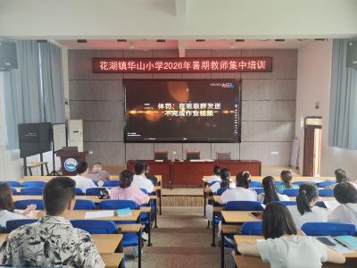 筑牢师德防线 严守纪律初心——花湖镇华山小学开展暑期纪律教育月集训活动
