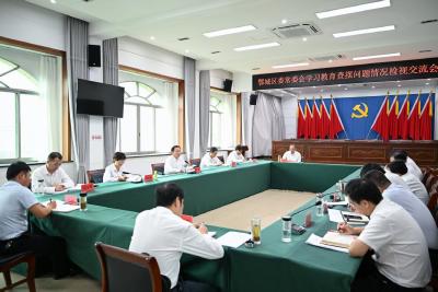 牢固树立和践行正确政绩观　在深学真查实改中推动发展 孙兵指导鄂城区委常委会学习教育查摆问题情况检视交流会