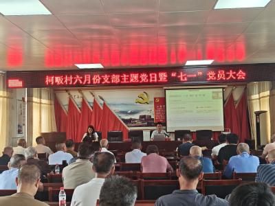 太和镇柯畈村：创新开展“线上线下同步”主题党日